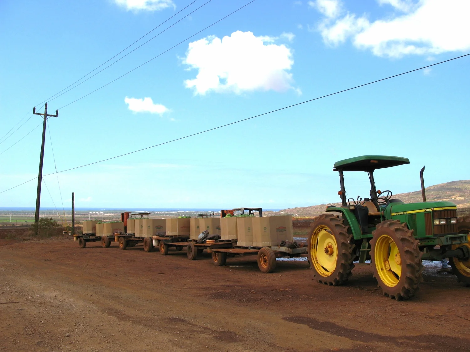Tractor hauling watermelon fiber tubs
