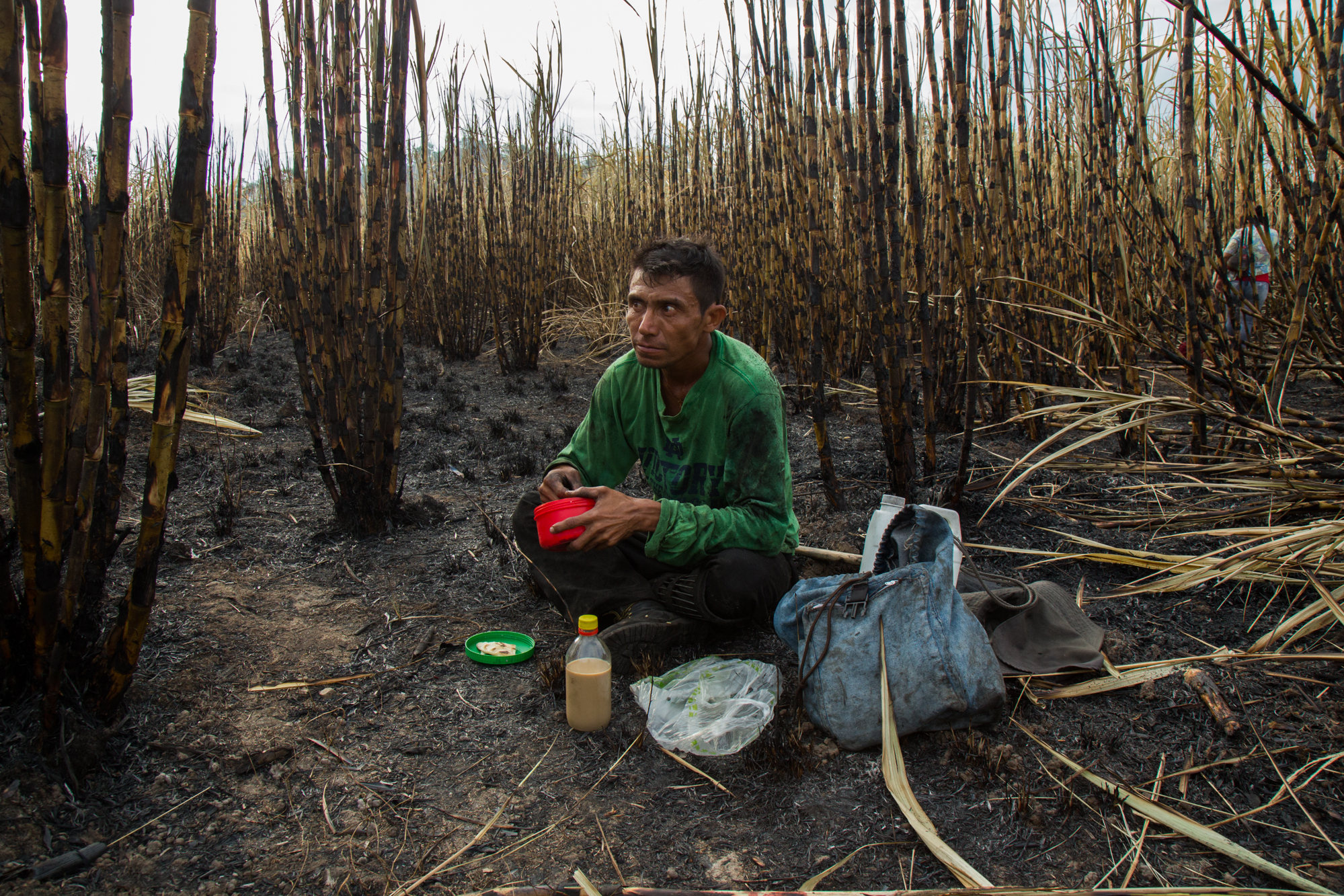  Celson Martinez, 40, of Los Almendros eats breakfast in a sugarcane field near Suchitoto, El Salvador.&nbsp; 