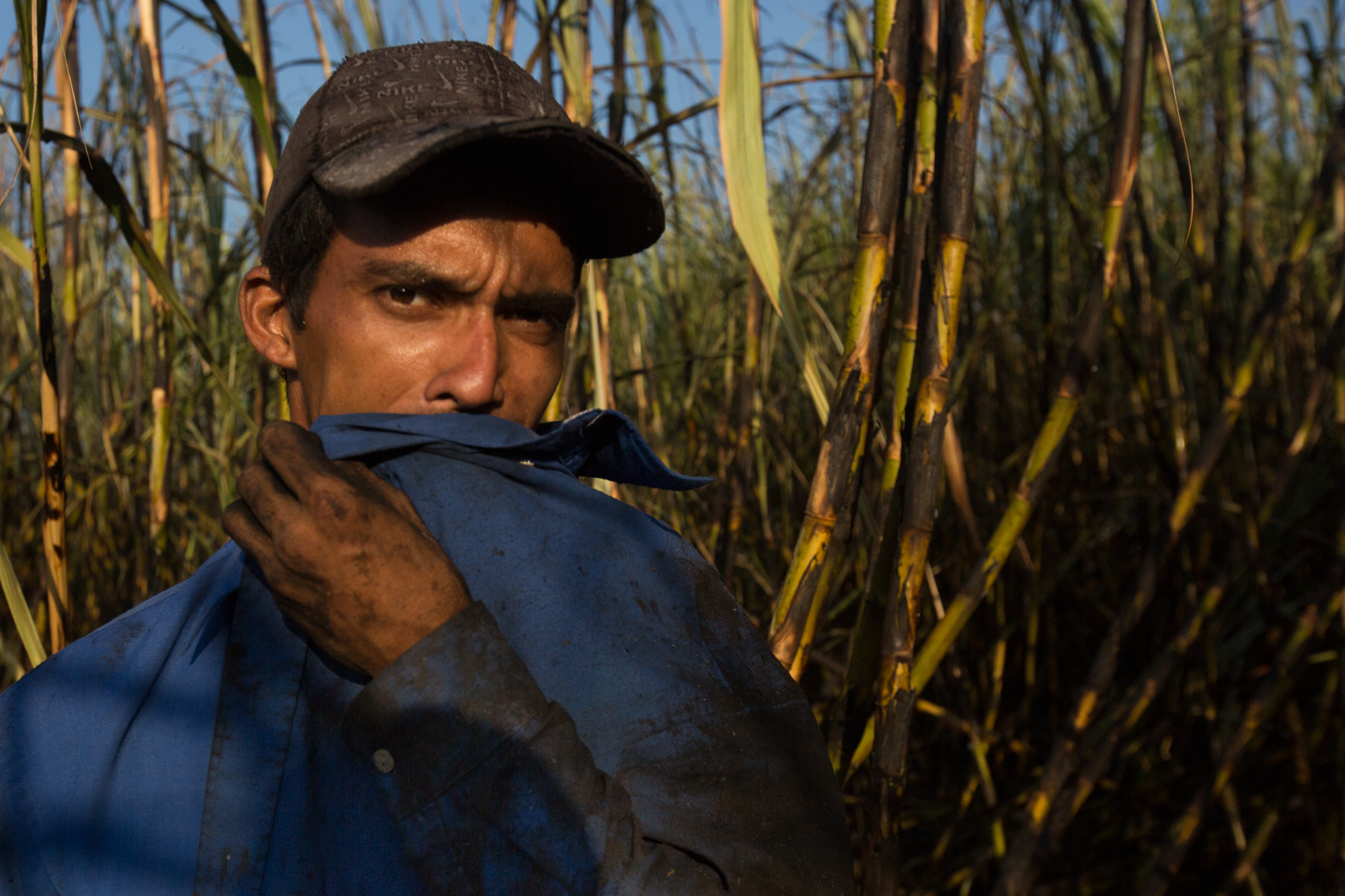  Miguel Abrego Rivera, 32, of Los Almendros, Cuscatlan, El Salvador cuts cane with a new machete as part of the WE Program. He says he can typically cut 10 tons a day with the new one, but today only 5 due to bad conditions of the sugarcane. He finis