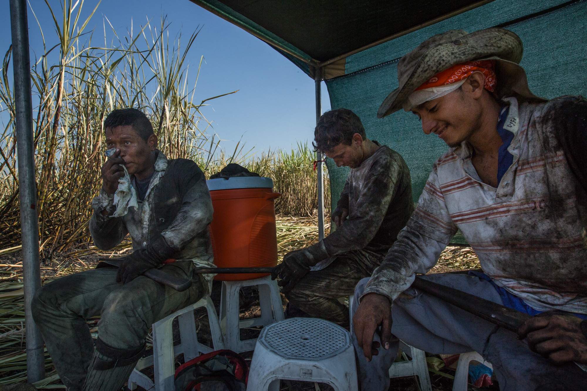  Workers participating in the accelerometer study take a break under the shade canopies provided as part of the WE Program in a sugarcane field outside of Los Almendros, Cuscatlan, El Salvador. 
