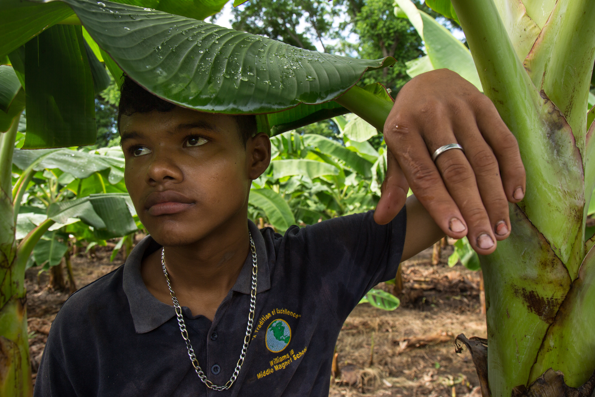  Eliezer Jose Ugoster, 16, at his father's plantain plantation, in Santa Teresa, Ometepe. Their land is under threat to be confiscated by the governemnt if the Grand Canal project goes through.&nbsp; 