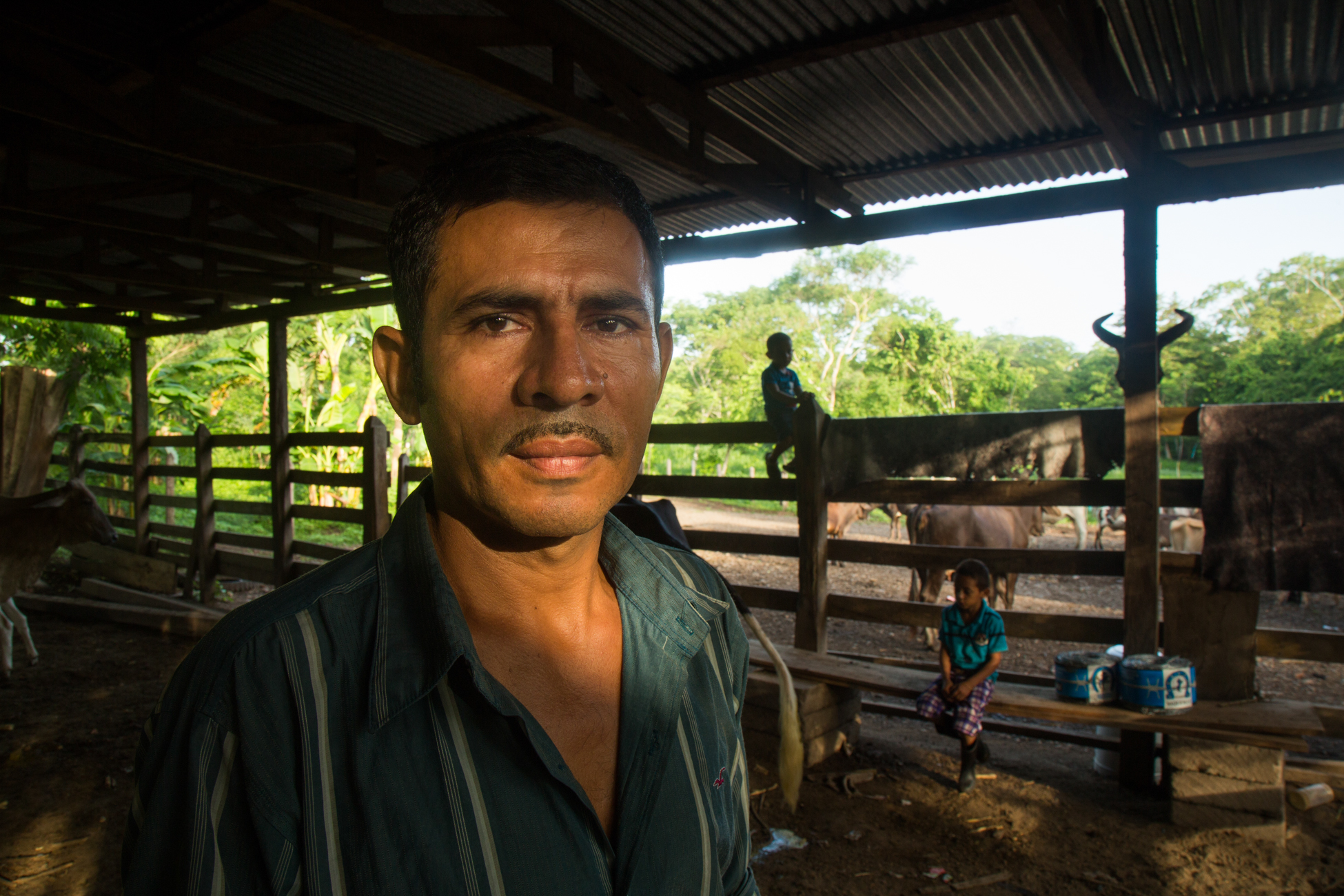  Javier Carmona teaches his youngest sons Bernni and Jelver to milk the cows the morning before a protest against the Nicaraguan Canal. Javier, a community leader and organizer with the Consejo Nacional which is fighting against the Ley 840 and the p