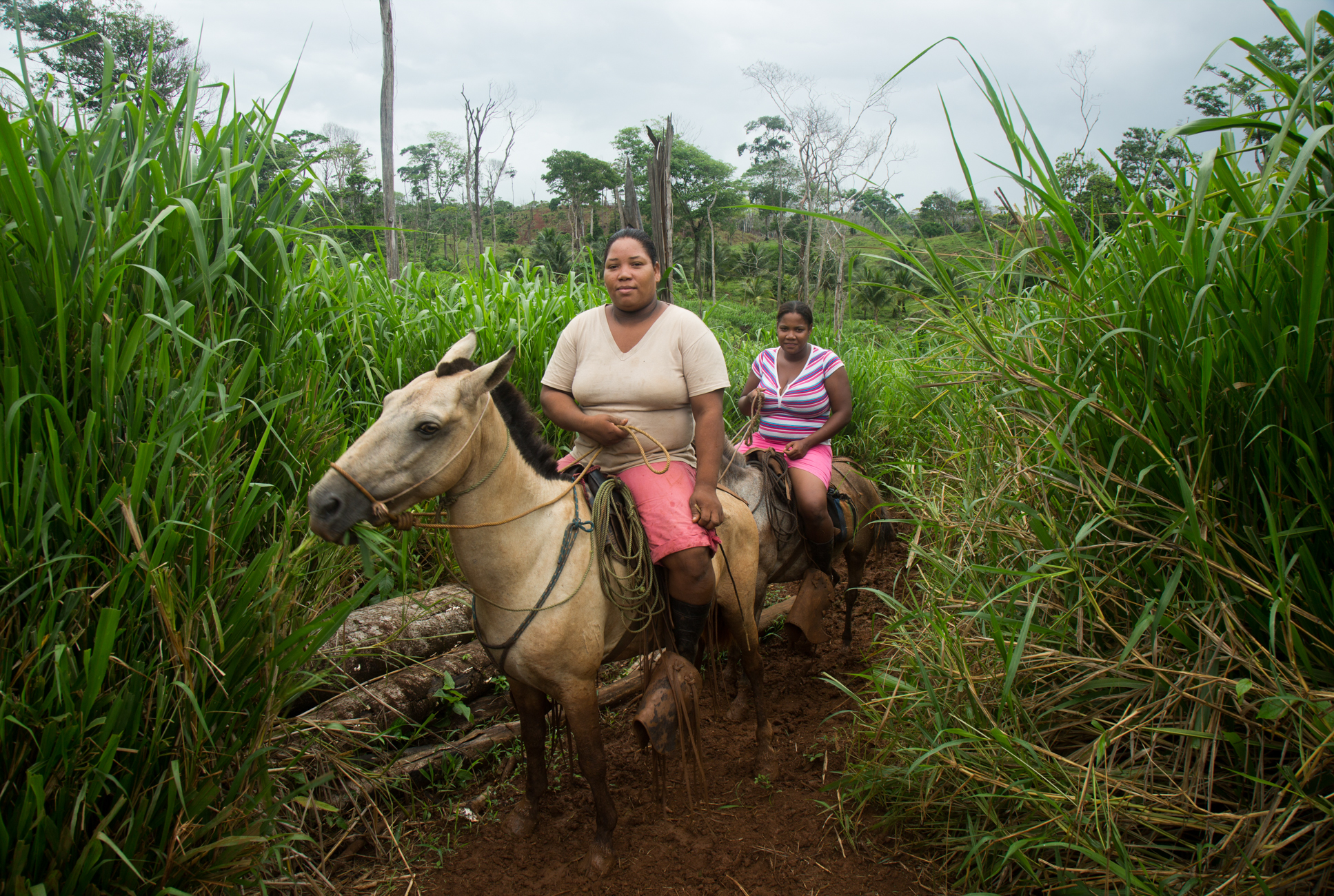  Wendy Quinn, 24, vice-president of Monkey point, and Ligia Bridgette McElroy return to their village on horseback after planting rice with other community members on her farm near their community, an afro-kriol community on Nicaragua's southeastern 
