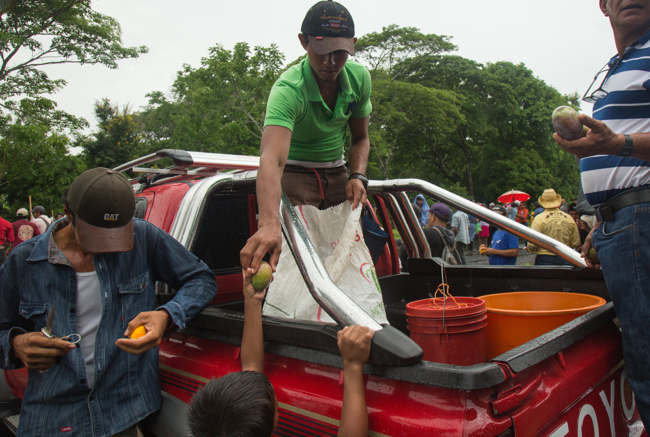  Members of the Consejo Nacional pass out mangos to hungry protesters at a protest against the Ley 840 and the Nicaraguan Canal project which could expropriate tens of thousands of familes' property's most of whom are small farmers, or campesinos. Th