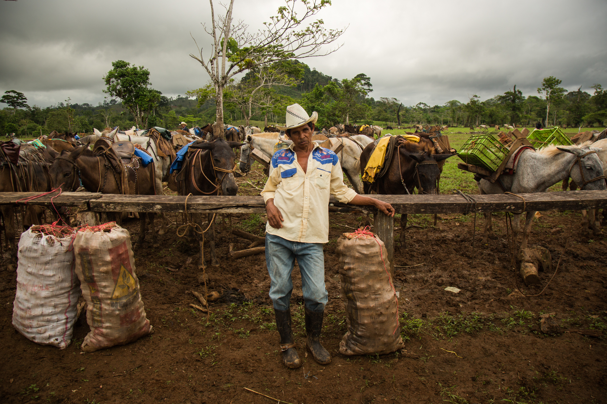  Esteban Fajardo, 60, of Provenir RAAS, with his horses where he has come to sell products at a market day in Palo Bonito on the banks of the Punta Gorda river in the early morning. If the Gran Canal project were to go forward, the river would be dre