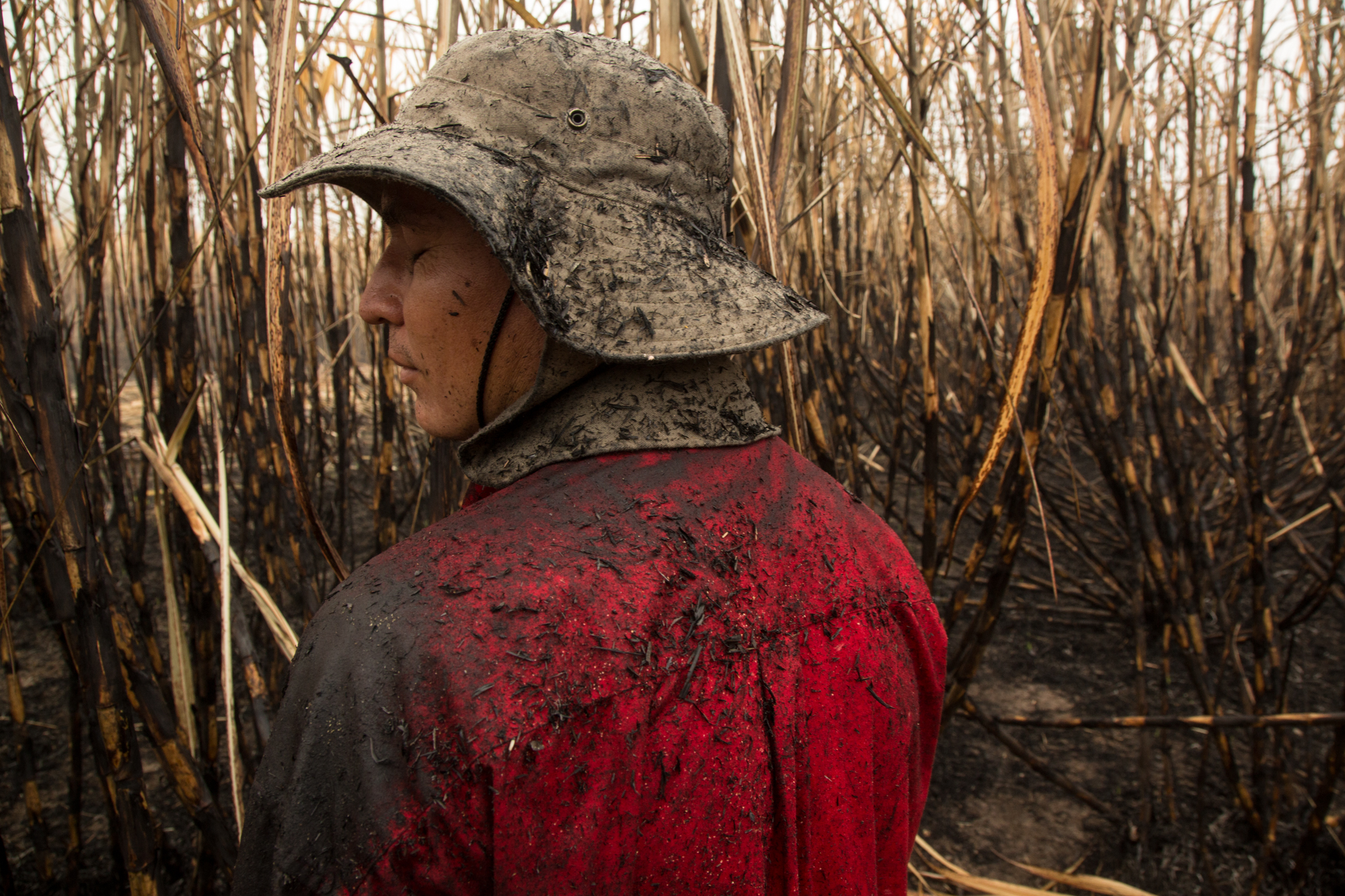  A sugarcane cutter near Los Almendros, El Salvador covered in soot and charred cane one early morning.&nbsp; 