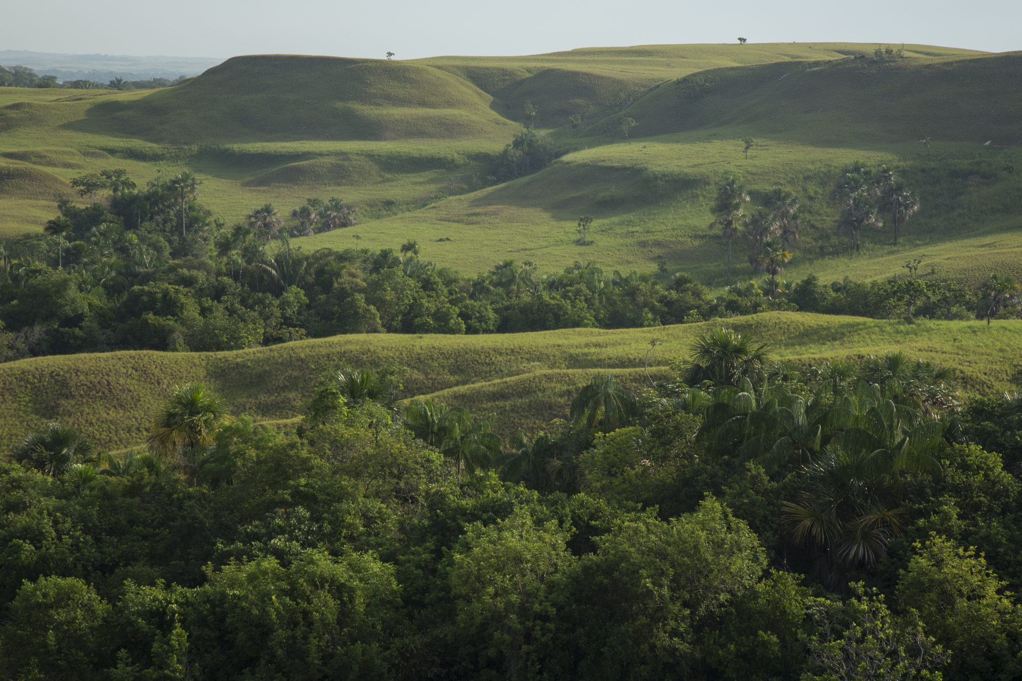  Landscape of plains and hills around the community of Rubiales, Meta where oil has been extracted for more than 25 years, first by Canadian company Pacific Rubiales, and now by Ecopetrol. According to local leaders and environmentalists, rivers and 