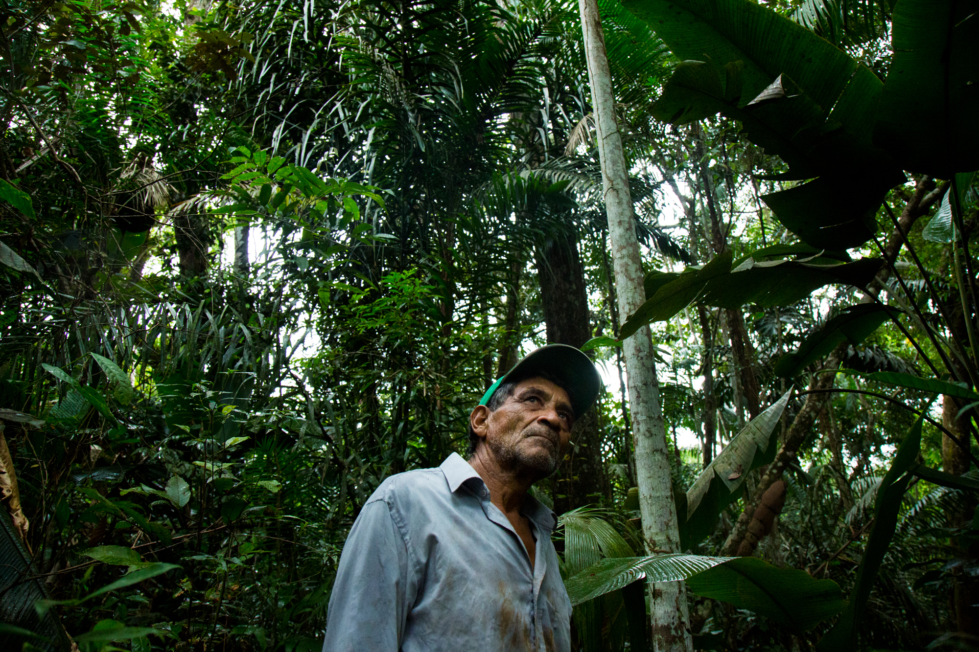  Modesto Paredes Vega, 66, says,&nbsp;"paradise is over," referring to his land of 10 hectares that he bought 10 years ago. Apart from the forest full of birds and animals that he says are gone, Modesto had a fish project where he had 1,000 fish in b