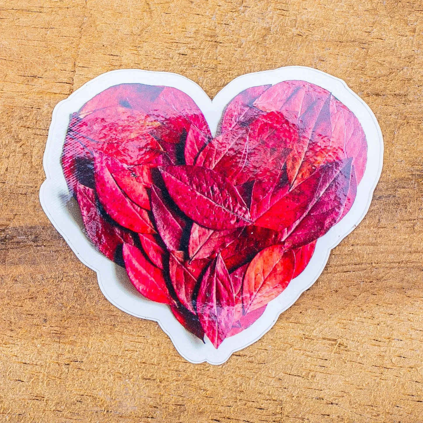 rawmona nature stickers-54.jpg