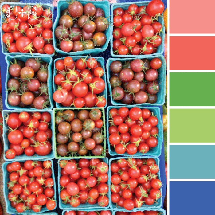 color-palettes-karla-diaz-cano.gif