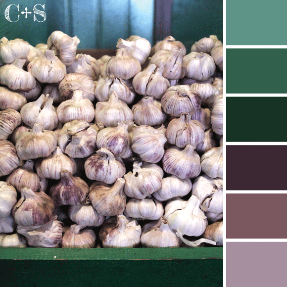 colour-palette.gif