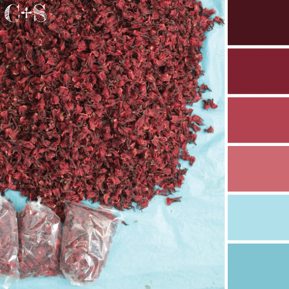 hibiscus.gif