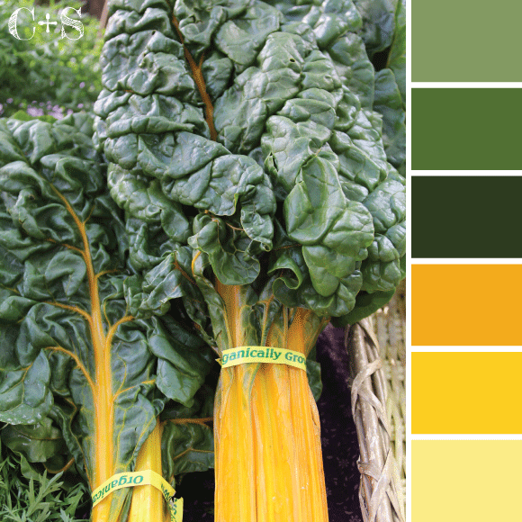 KALE.gif