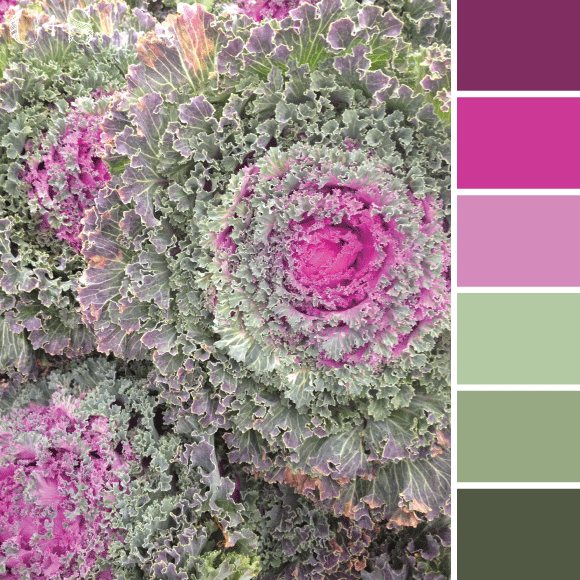 kale2.gif
