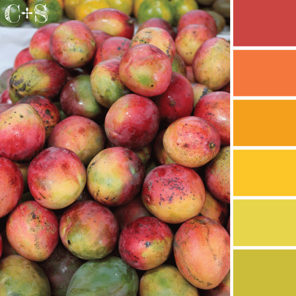 mangos2.gif