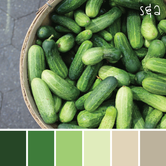 pickles.gif