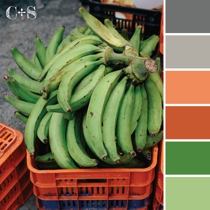 platanos-machos.gif