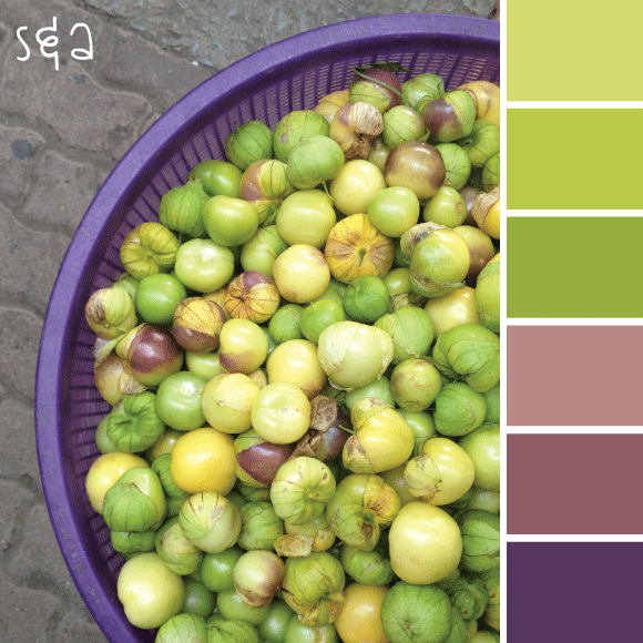 tomatillo.gif