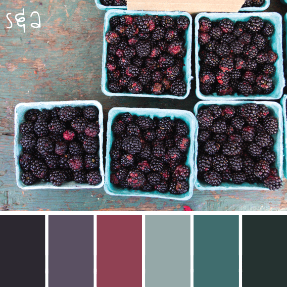 blackberries.gif