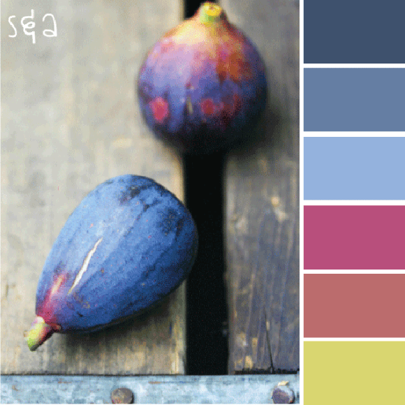 figs.gif