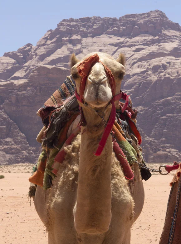 wadi-rum-jordan-6.jpg