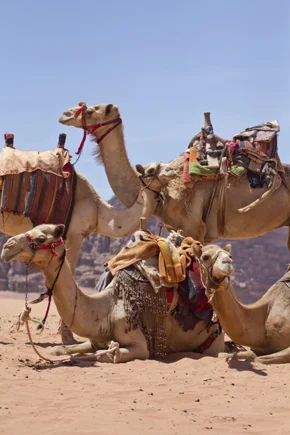 wadi-rum-jordan (7).jpg