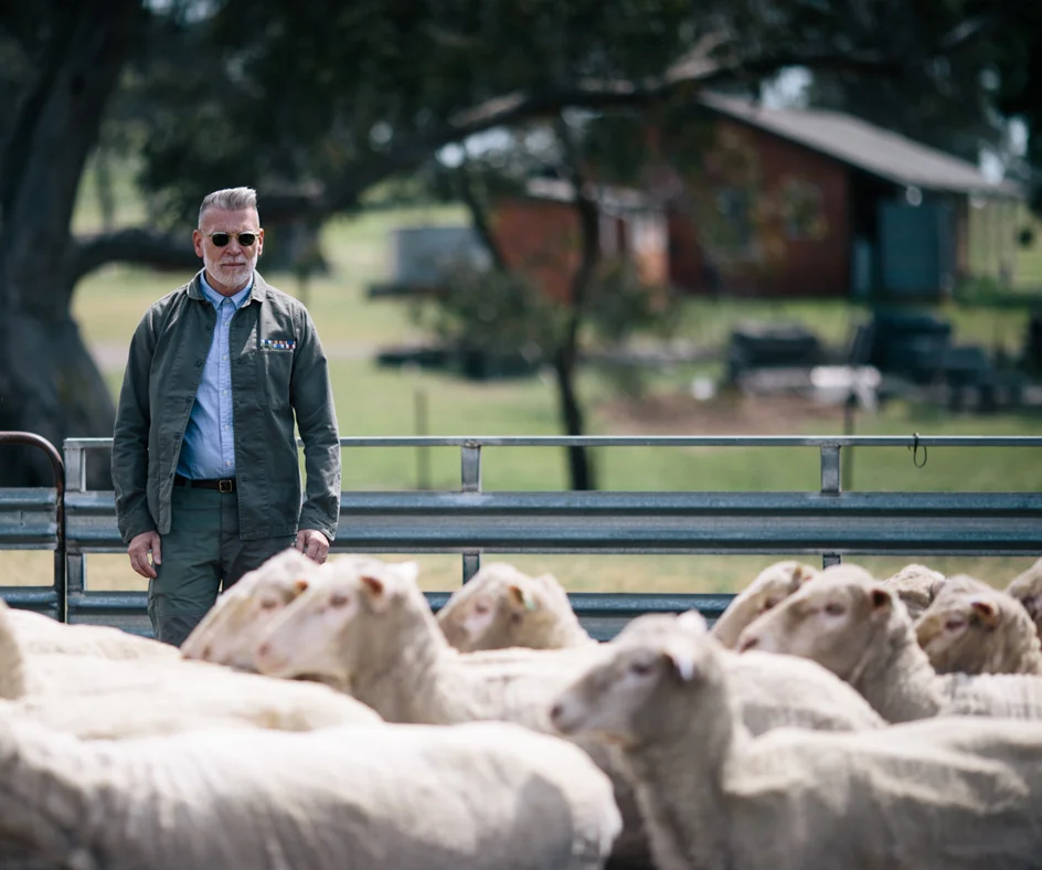 nick-sheep-FB-3.jpg