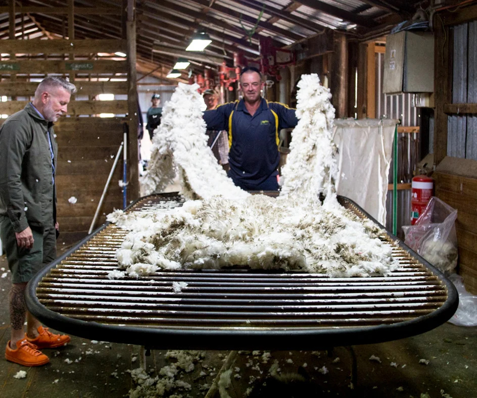 shearing-5.jpg
