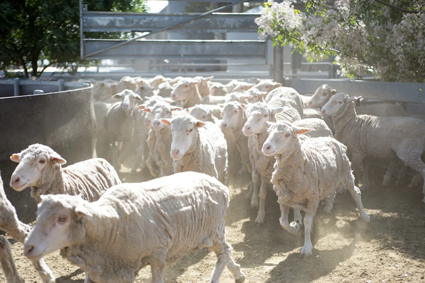 FARM-2.jpg