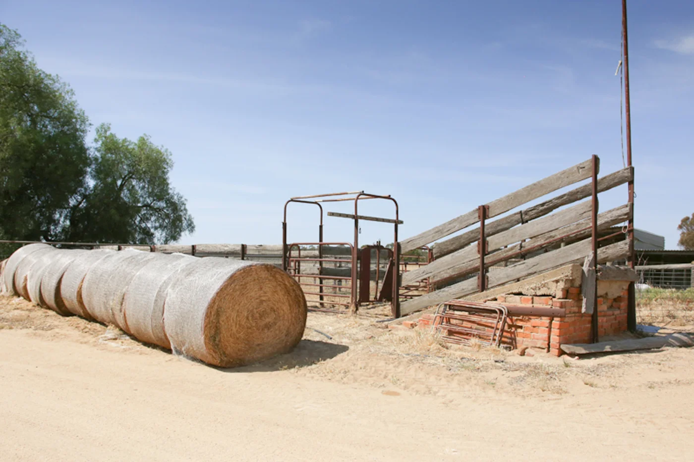 FARM-12.jpg