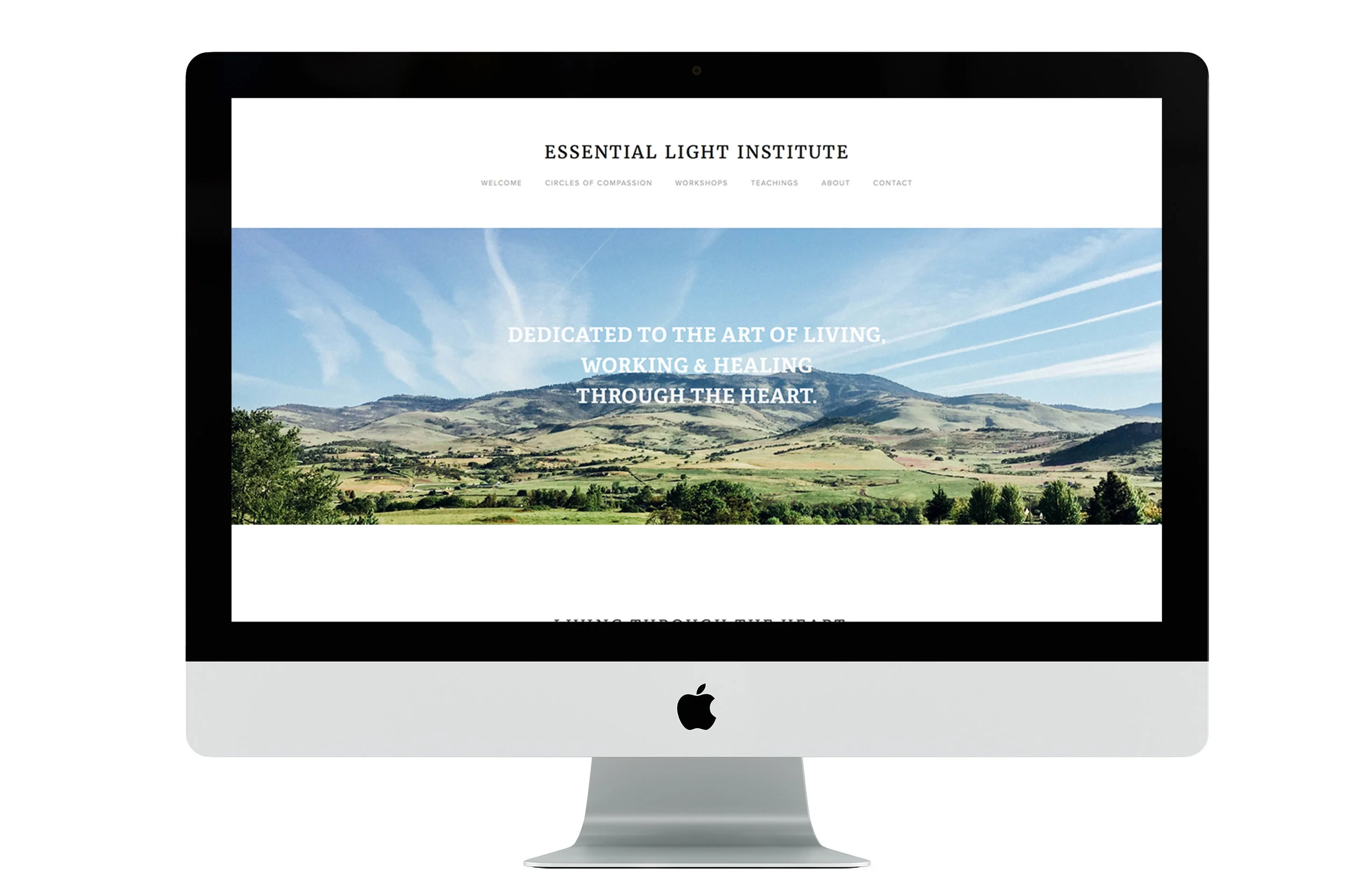 web_design_kdc_essential_light_institute.jpg