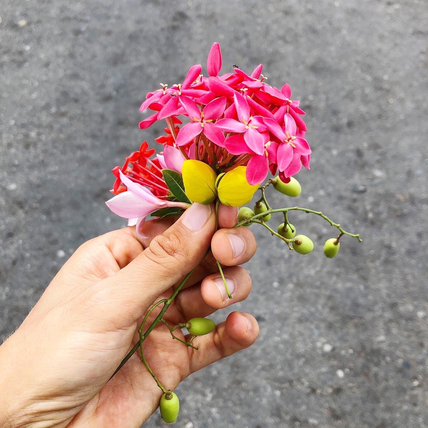 6767AFA4-6418-491D-9046-6CCDA04395AA copy.JPG