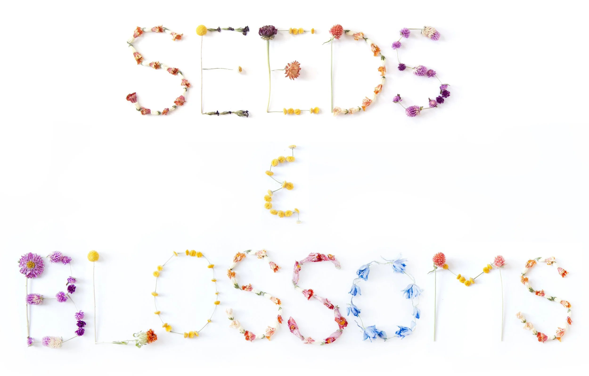 seeds-and-blossoms-1.jpg