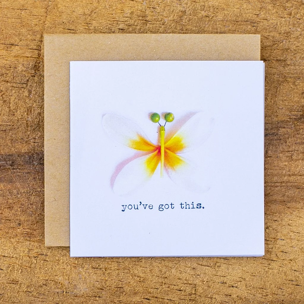 cute_whimsical_nature miniature greeting cards by rawmona-19.jpg