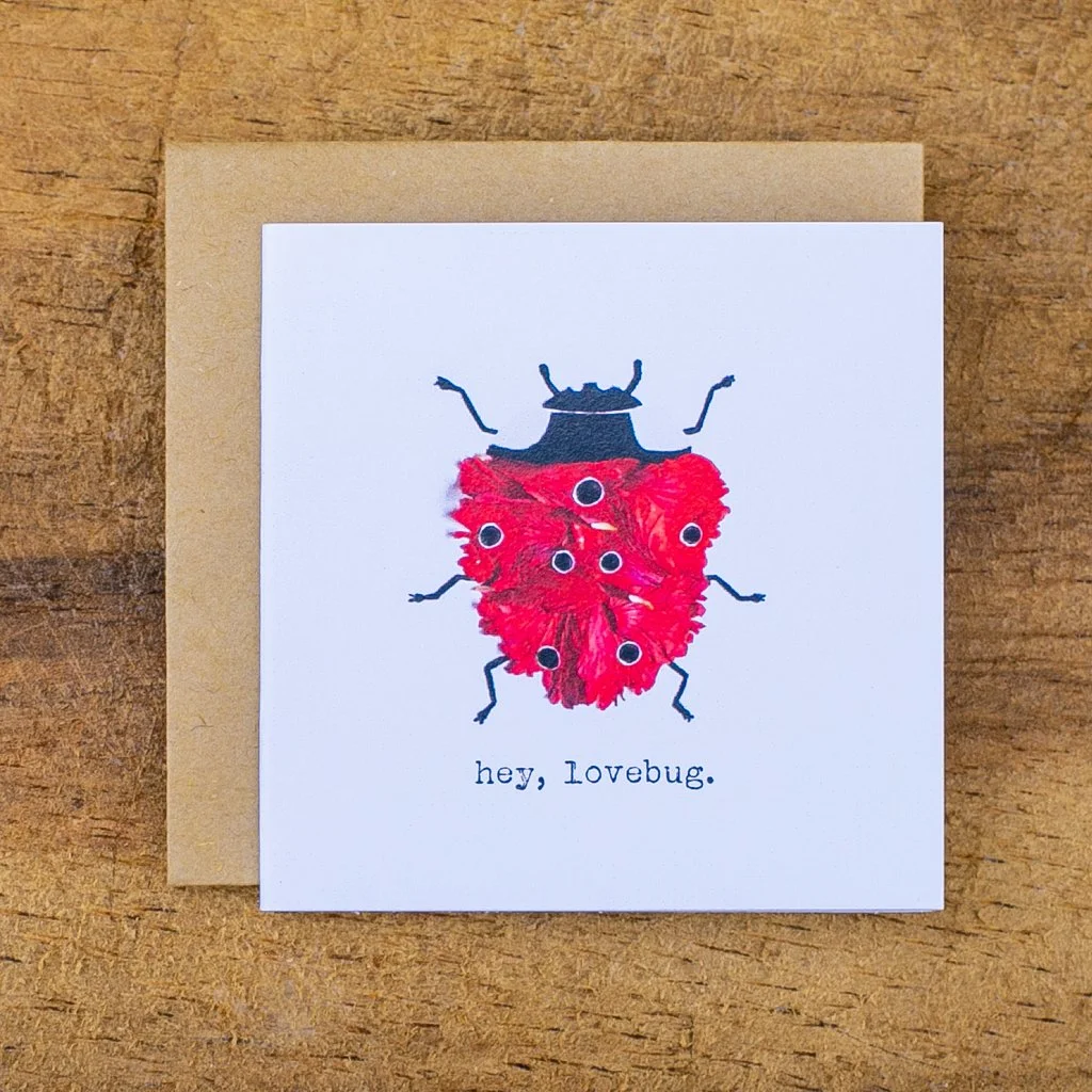 cute_whimsical_nature miniature greeting cards by rawmona-20.jpg