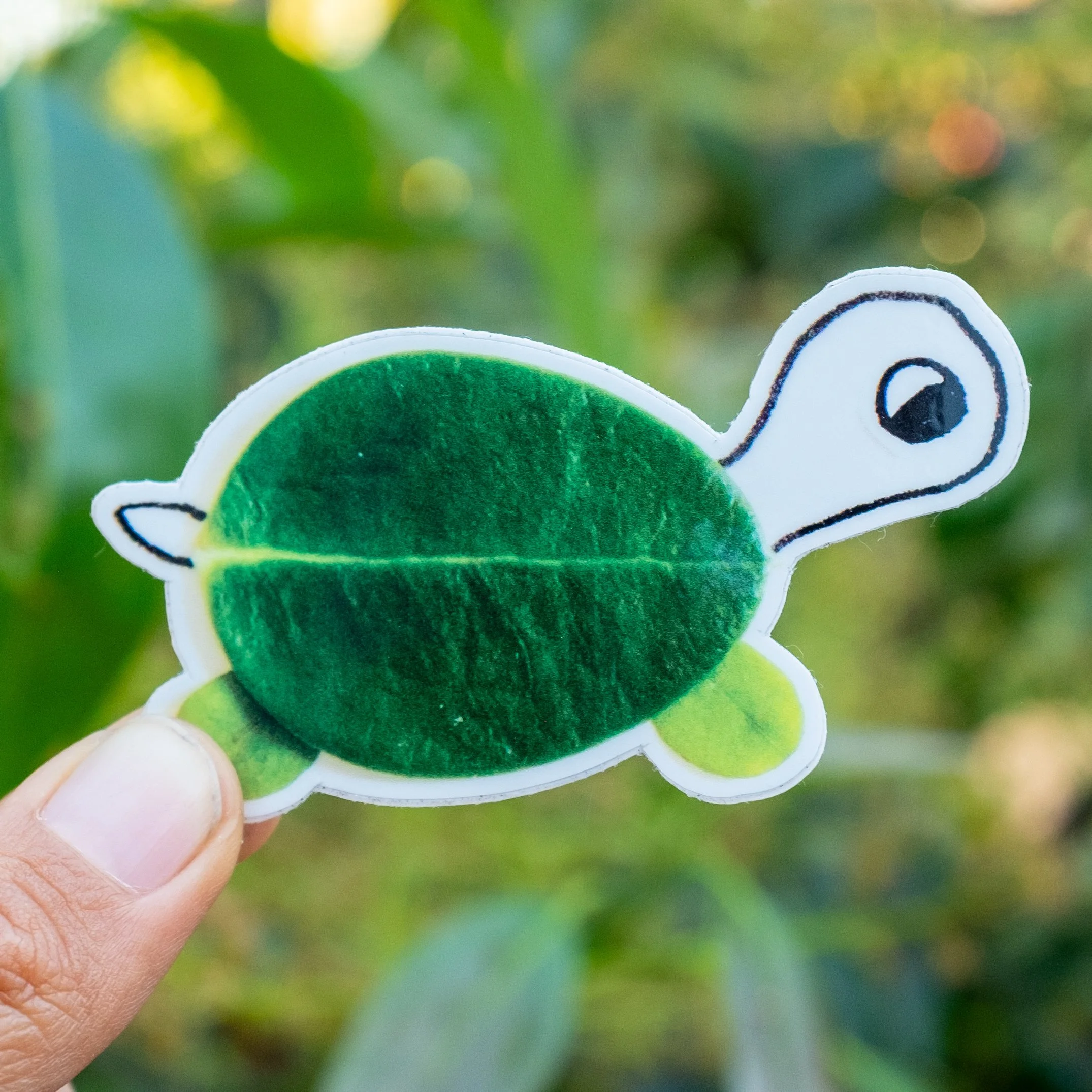 rawmona nature stickers-53.jpg
