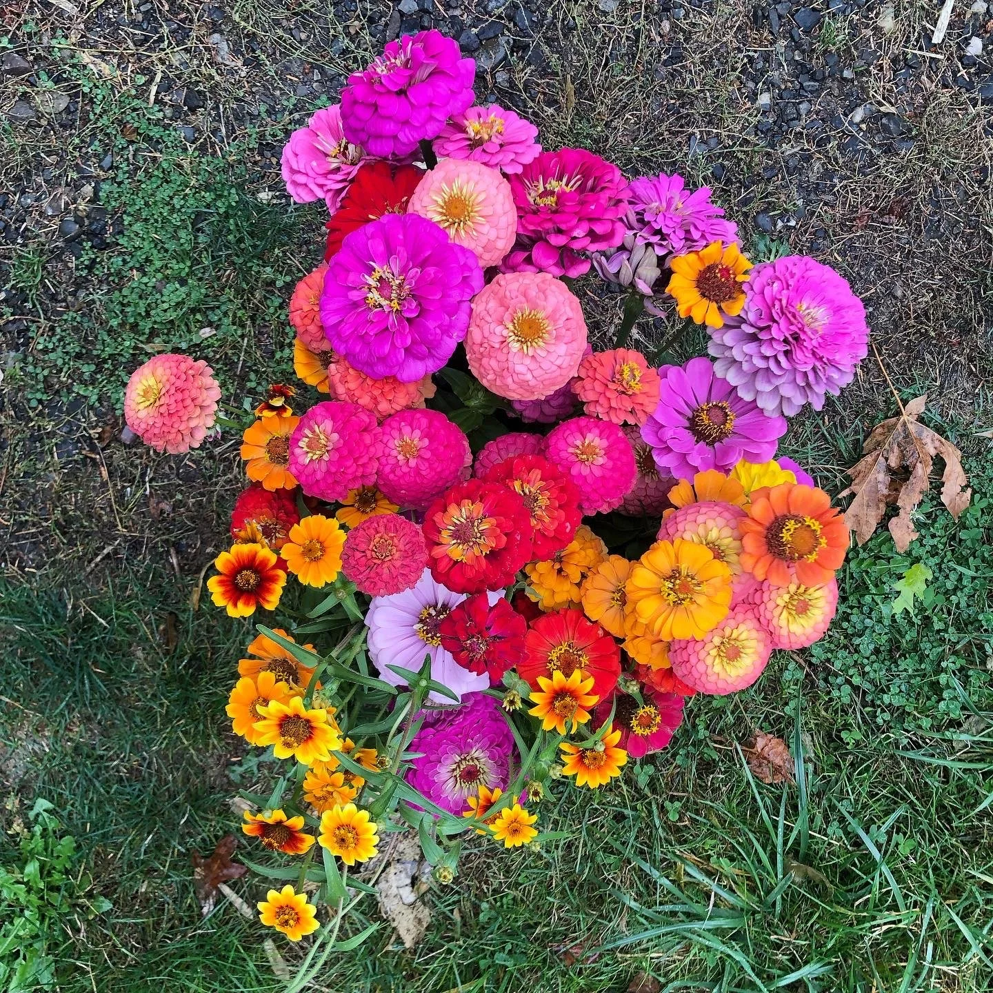 flowers for rawmona.JPG