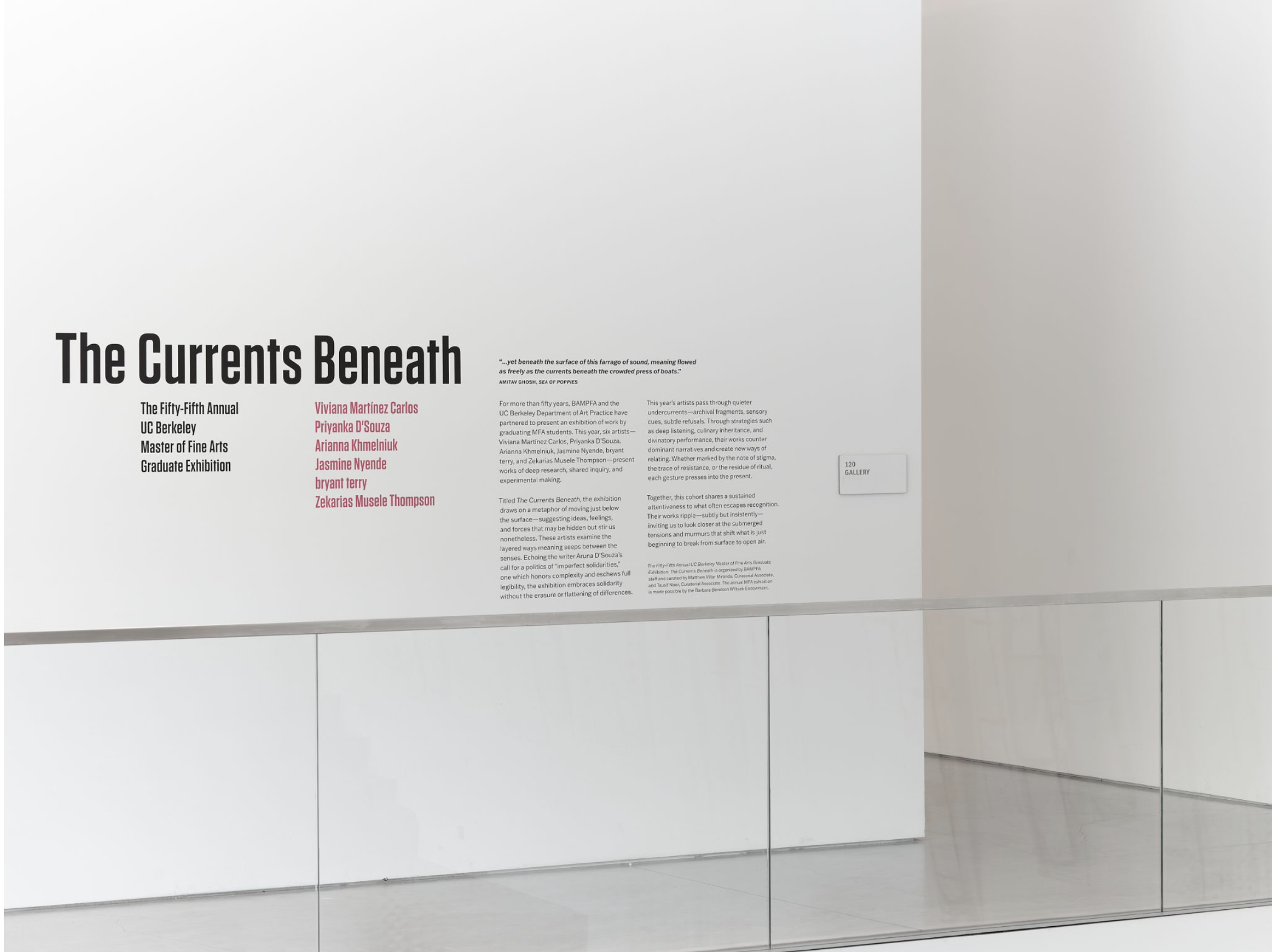 thesis show wall text.png