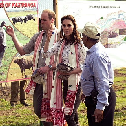 kate-william-safari-3-435.jpg