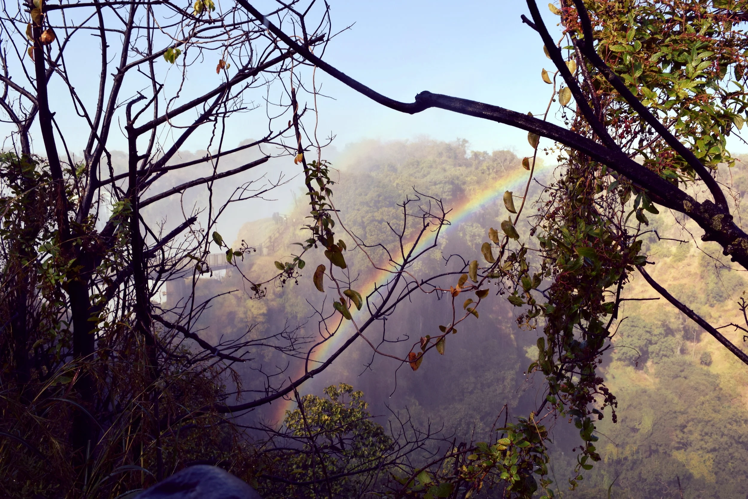 Chasing Rainbows at Victoria Falls