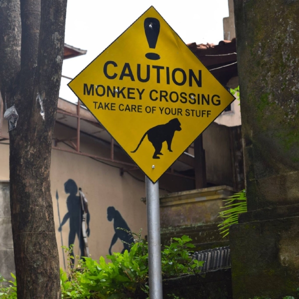 Entry to Monkey Forest