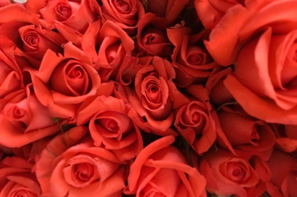 Roses at a Flower Market