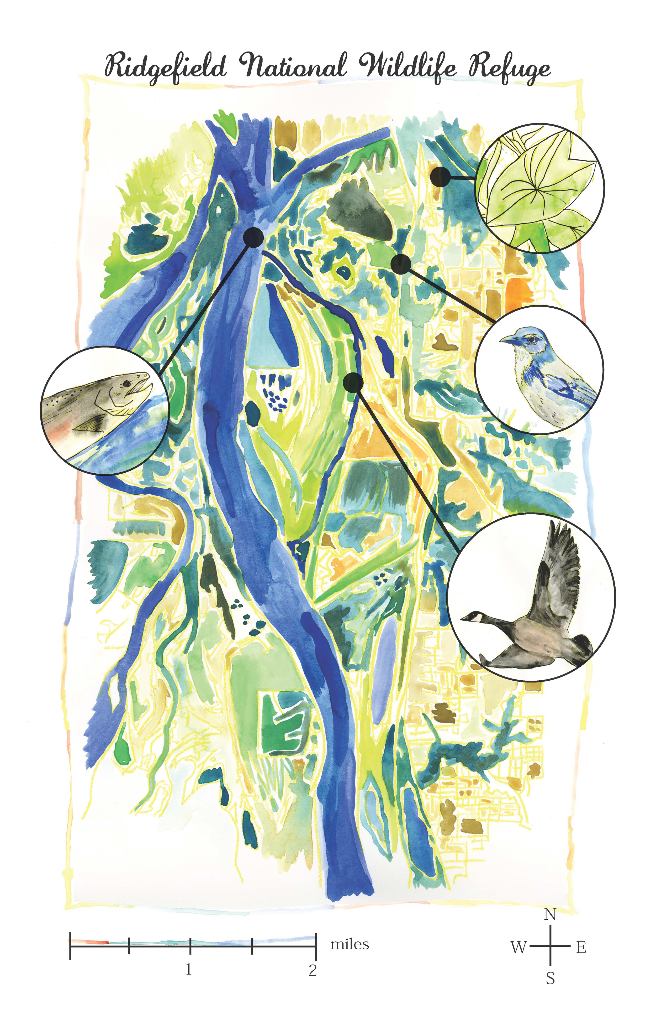 Ridgefield National Wildlife Refuge
