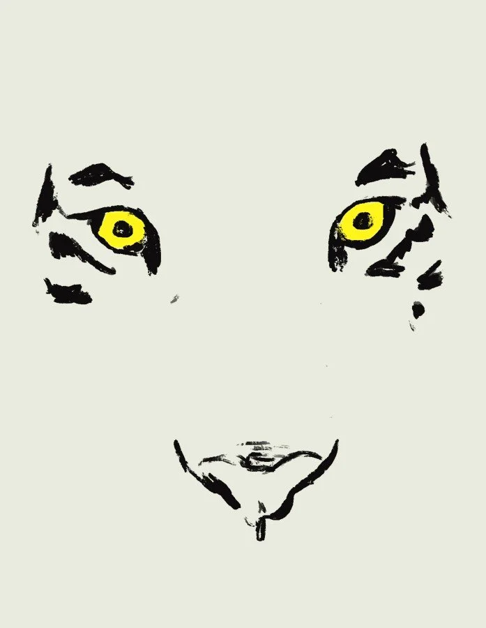 tiger-squarespace.jpg