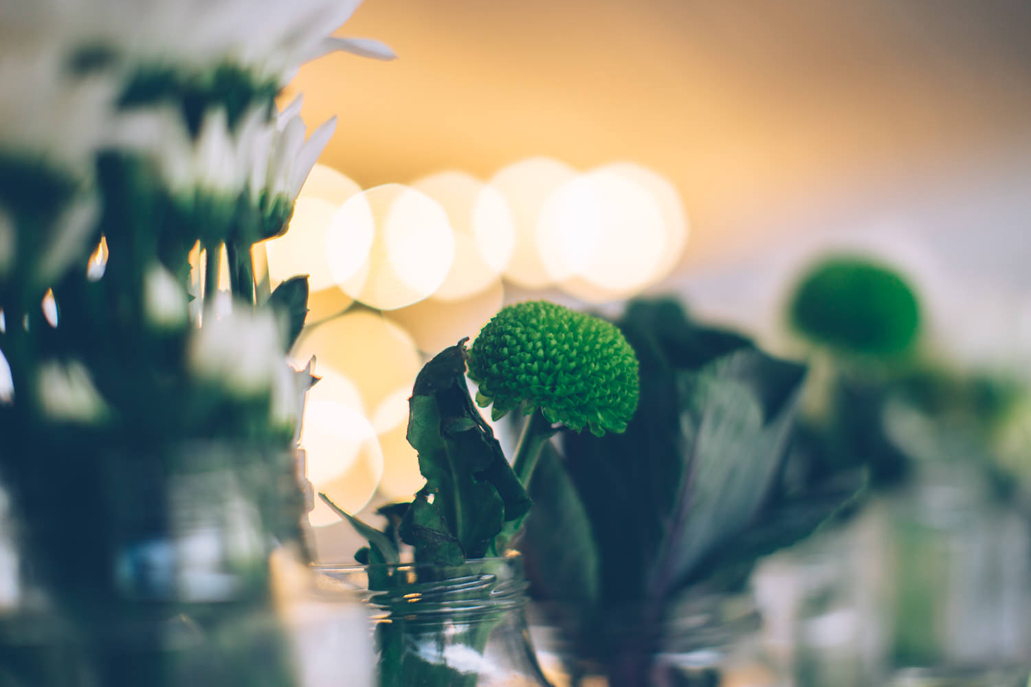 Leah & Glen Wedding-9.jpg