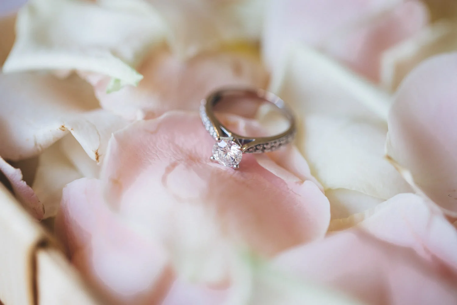Julianne & Kevin - Married-14.jpg