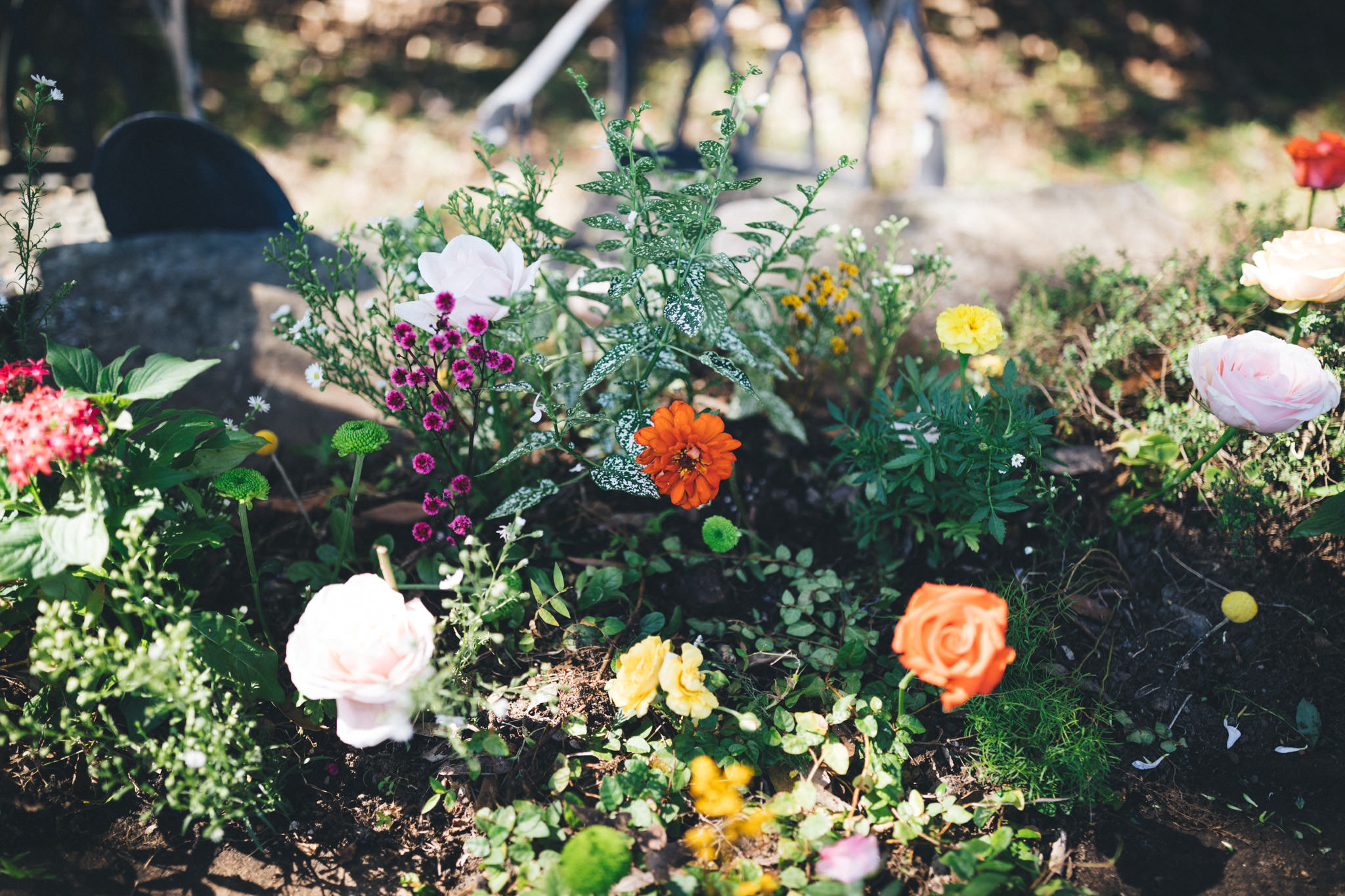 Ann Marie Yuen Photography-0145.jpg