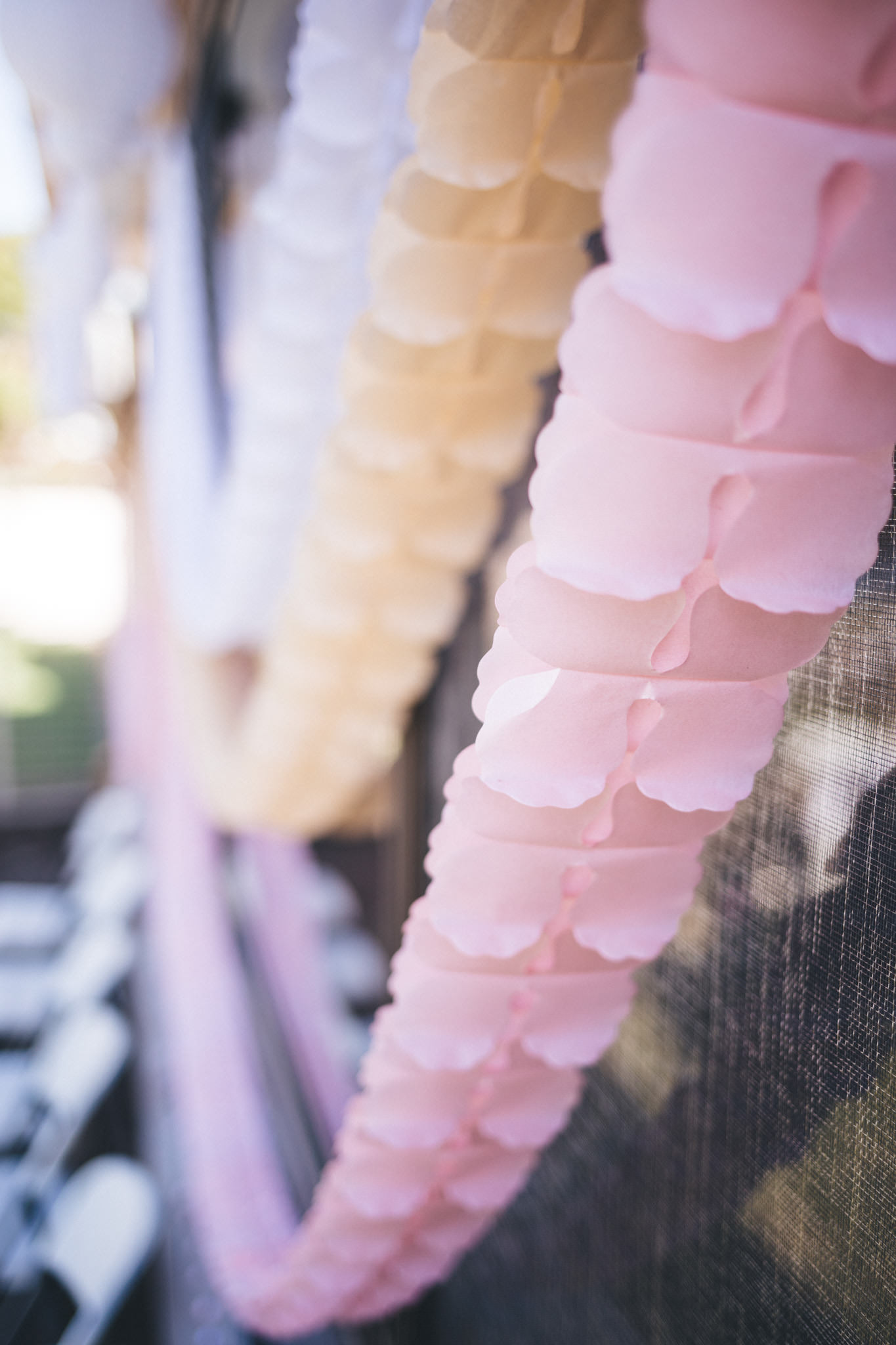 Ann-Marie-Yuen-Photography-0010.jpg