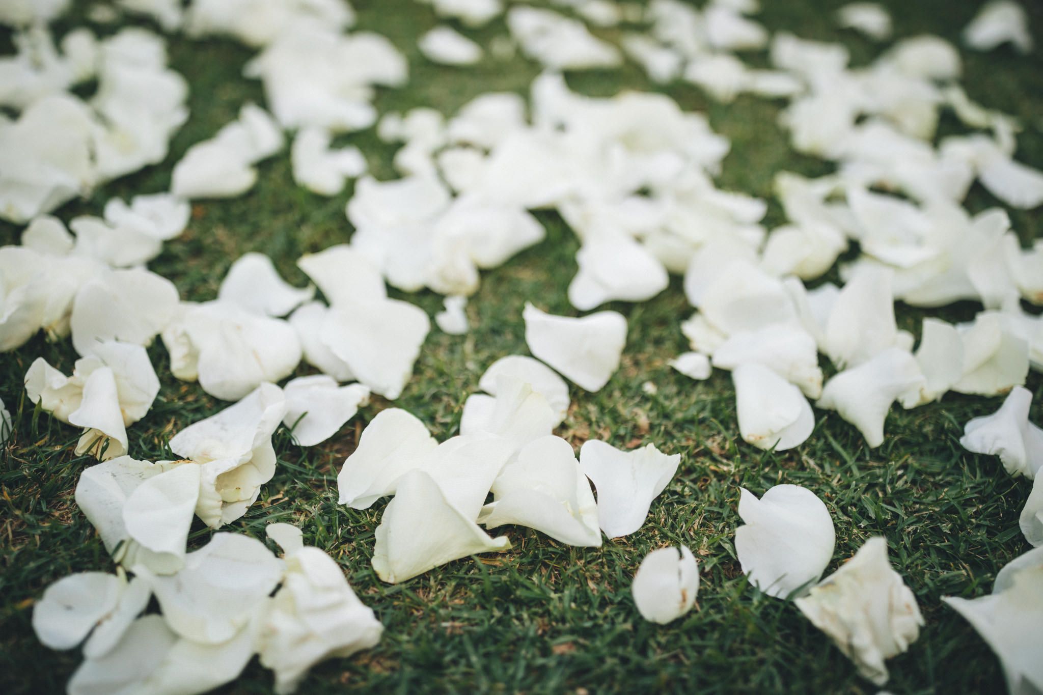 Ann-Marie-Yuen-Photography-Whale-Beach-Wedding-0084.jpg