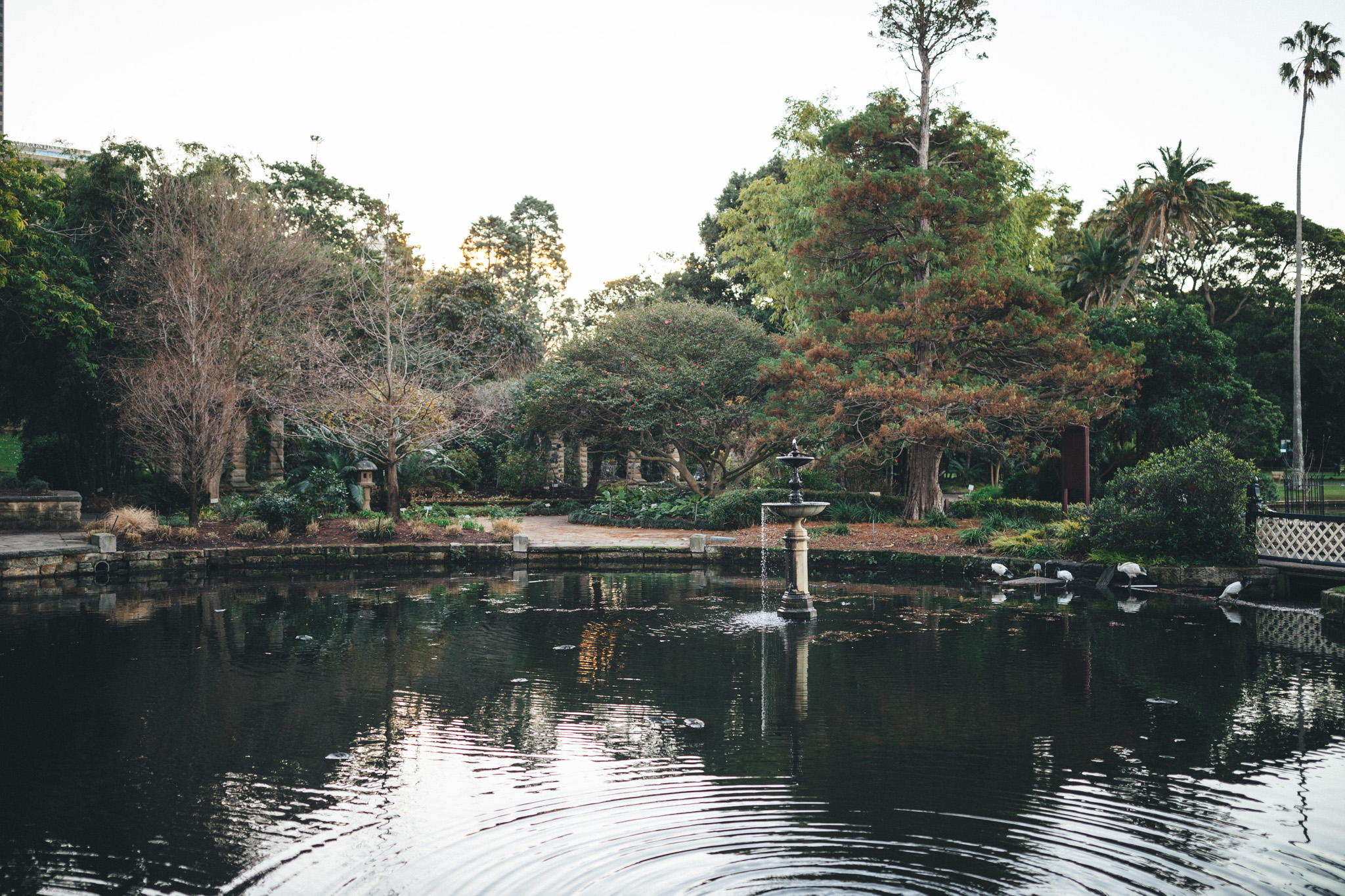 Ann-Marie-Yuen-Photography-0166.jpg
